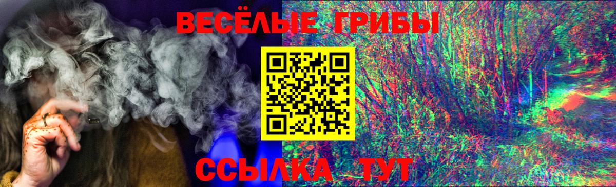 Псилоцибиновые грибы мицелий Новокуйбышевск